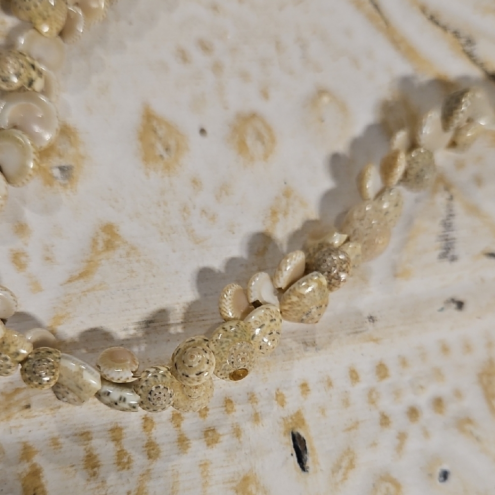Shell Necklace - Picture 4 of 4